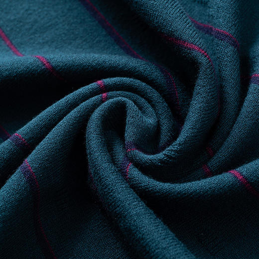 【DWP】大依优型大码男装秋季POLO衫翻领条纹针织衫商务休闲简约长袖T恤 商品图3