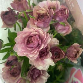 配花-蝴蝶洋牡丹-乌梅子酱-5支