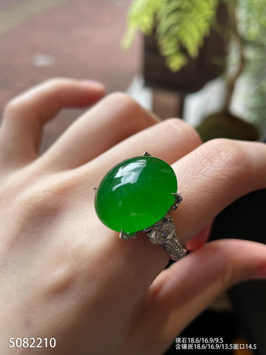老坑帝王绿蛋面戒指【5082210】具体价格微信咨询 商品图5