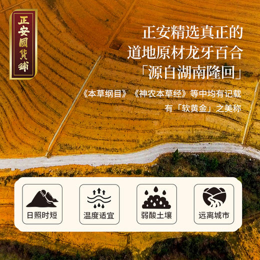 正安 湖南隆回龙牙百合  参考中国药典标准牙瓣大肉厚 优质原材 甘平下火降燥温养口感粉糯清甜 滋润秋冬煲汤食材家庭糖水百合地黄汤 特大片百合150g/罐 商品图8