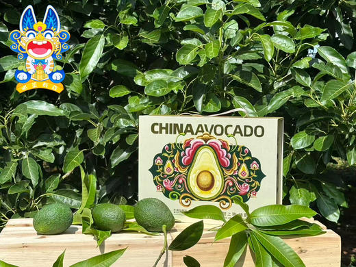 Mg基地📦【民族文创】中国牛油果×彝族服饰礼盒装（含果园牛油果花蜜35g+有机酱油40ML） 商品图1