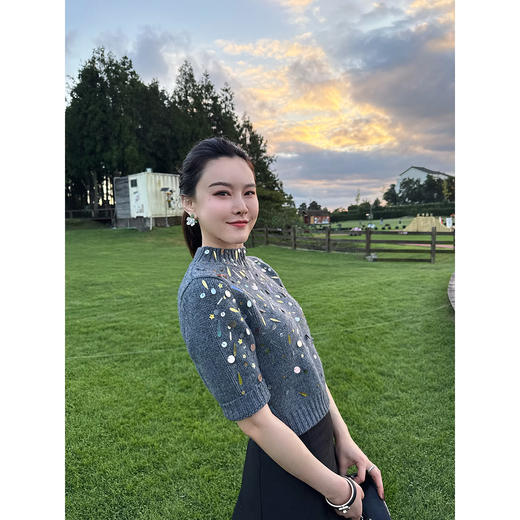 DUO智仙生 zhong工守藏 手工缝制亮片百分佰绵羊毛宝石毛衣 商品图2