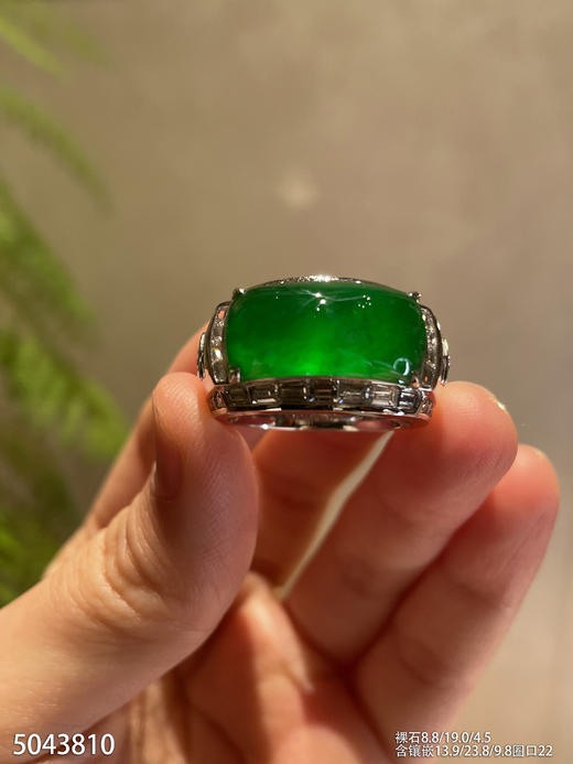 5043810、马鞍戒指。具体价格微信咨询 商品图0