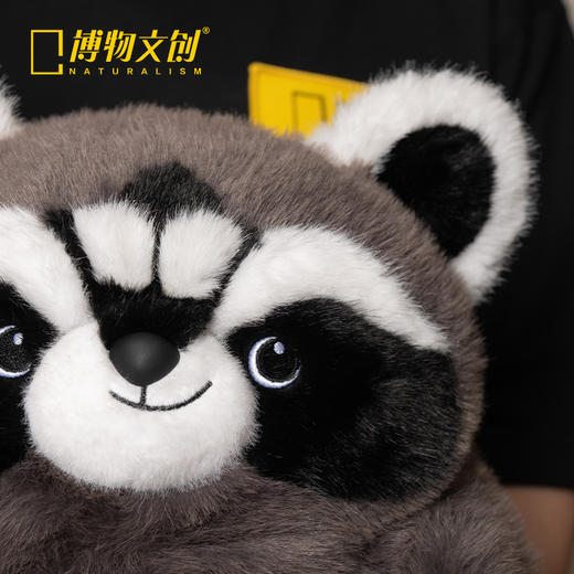 博物文创 大圆宝浣熊 新年元旦生日礼物 商品图3