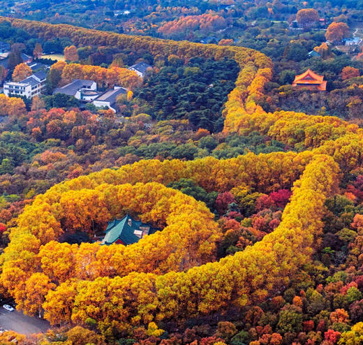 华东6大秋景+蟹宴 5天打卡天平山+莫干山+栖霞山 商品图2