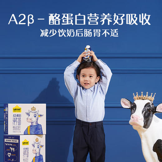 认养一头牛A2奶250ml梦幻盖10入一提装 商品图2