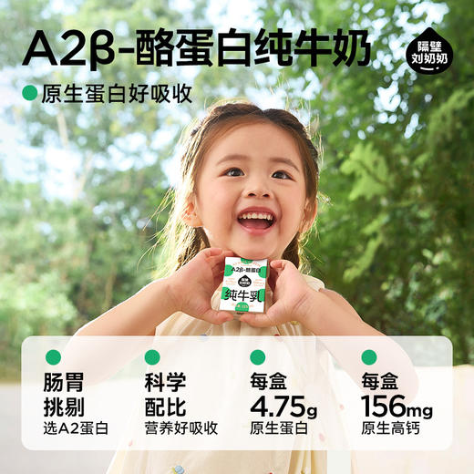 【冬至有喜 暖冬放送】隔壁刘奶奶---重磅新品🔥🔥A2β酪蛋白mini奶 亲和肚肚好吸收 守护宝宝肠道健康 乳糖不耐受宝宝也可以喝！（全新日期+全新包装发出） 商品图4