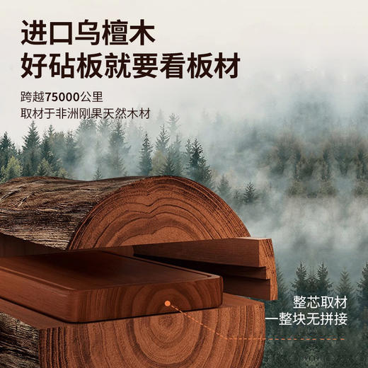 BTSM乌檀木砧板BT-ZB4501 商品图1