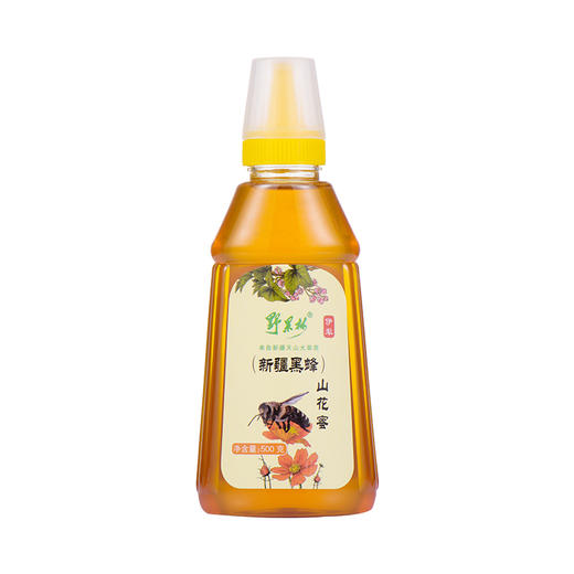 天山花开·新疆黑蜂山花蜂蜜500g 花香蔓延 甜而不腻 挤压式包装  商品图0