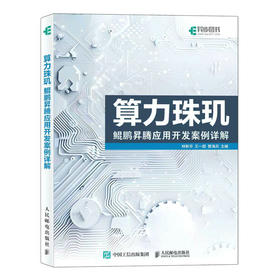 算力珠玑 鲲鹏昇腾应用开发案例详解 人工智能计算 算力算法优化 高性能计算