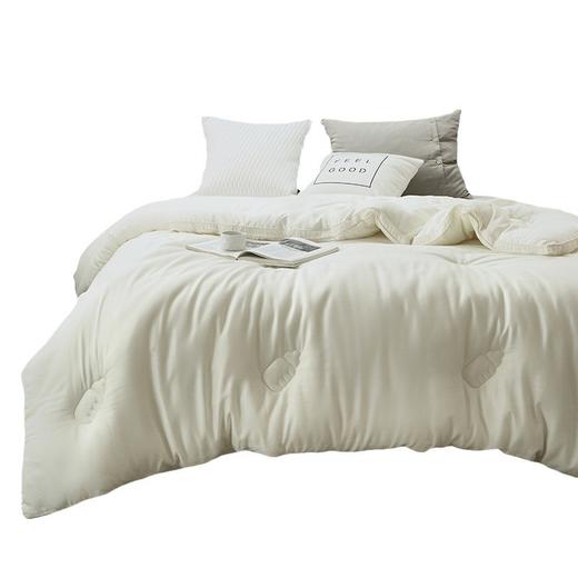 【A类牛奶冬被】牛奶冬被A类被芯民宿双人秋冬被保暖被子加厚款 商品图4