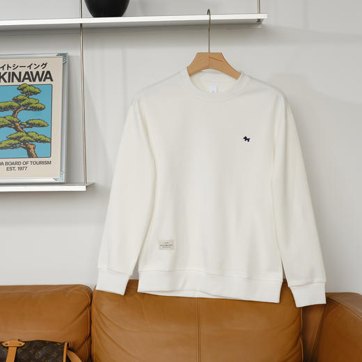 太浪甄选秋季福利款6033 商品图2