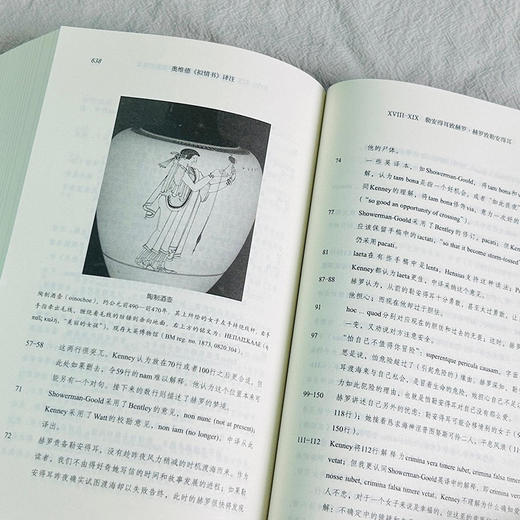 奥维德《拟情书》译注  [古罗马]奥维德 著  刘淳 译注（奥维德译注集）商务印书馆 商品图10