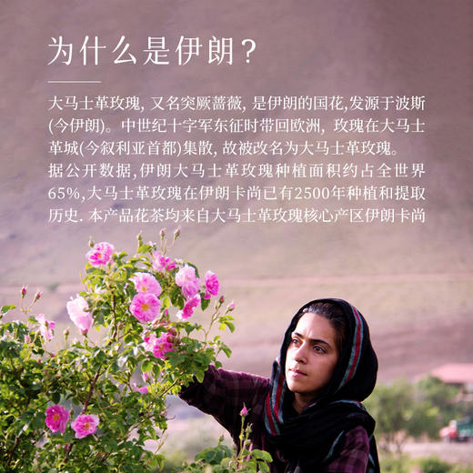 巴莉哲 伊朗进口大马士革玫瑰花茶 低温风干 香气馥郁 50g/罐 商品图2