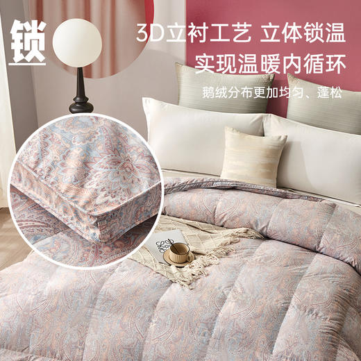 西伯利亚进口立体95白鹅绒被(克洛里) 商品图4