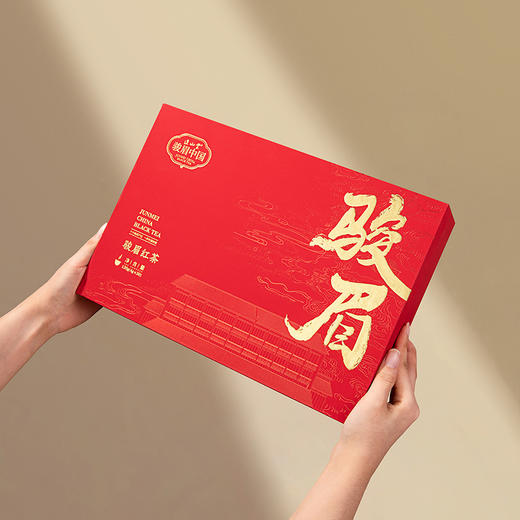 正山堂骏眉中国 中国红礼盒装 特级红茶送礼十大产区一芽多叶120g/240g 商品图7