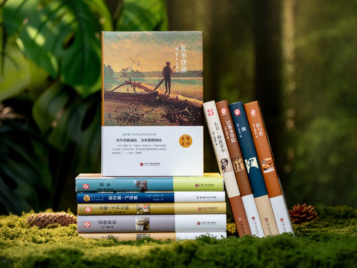 《世界十大名著》经典必读系列（精装10册）|汇集外国文学史上里程碑之作|文豪巨著，名家名译|部部引领孩子世界观和人生方向|为孩子注入受益一生的精神底气 商品图7