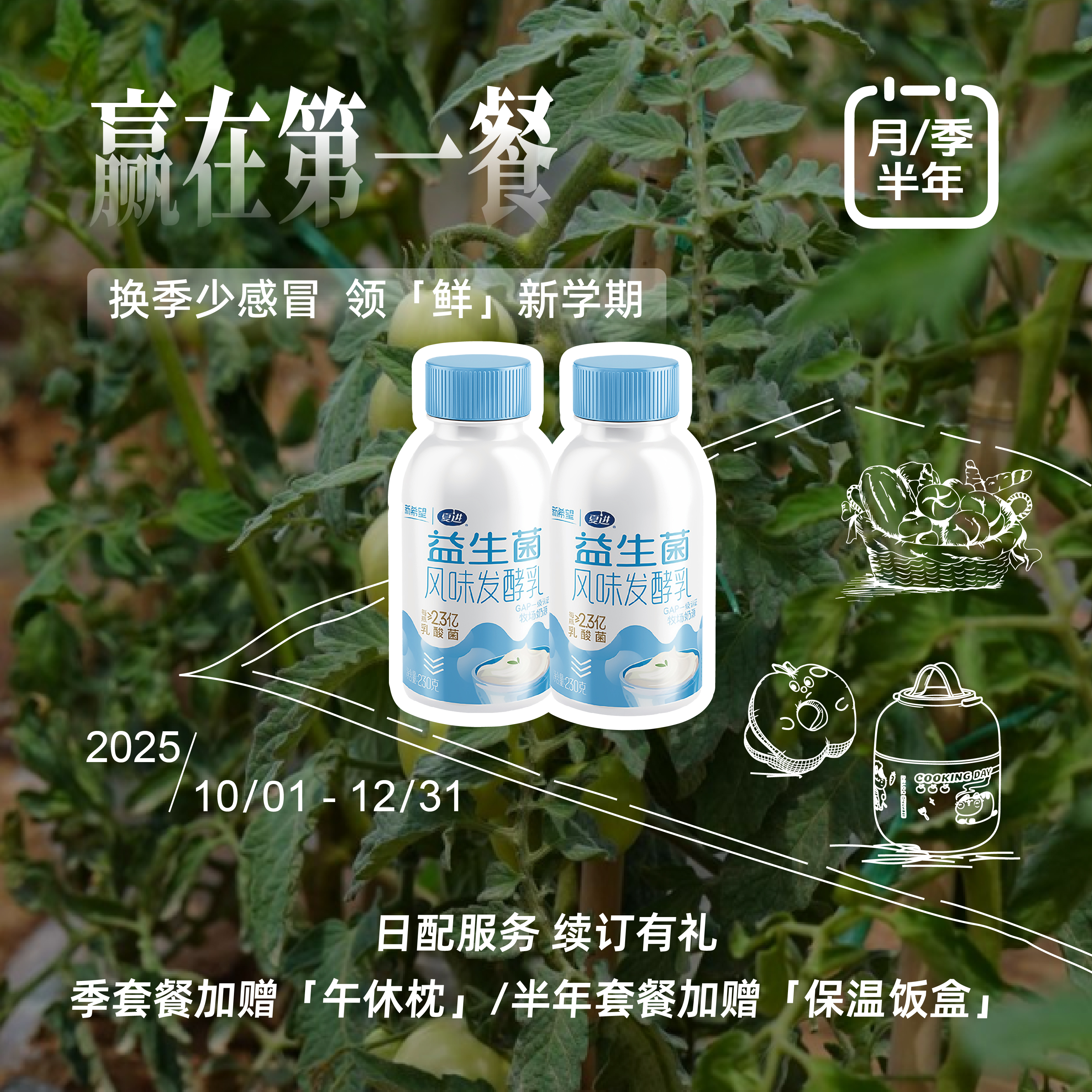 「银川本地日配服务」夏进益生菌风味发酵乳230ml/瓶 其他地区下单请联系客服