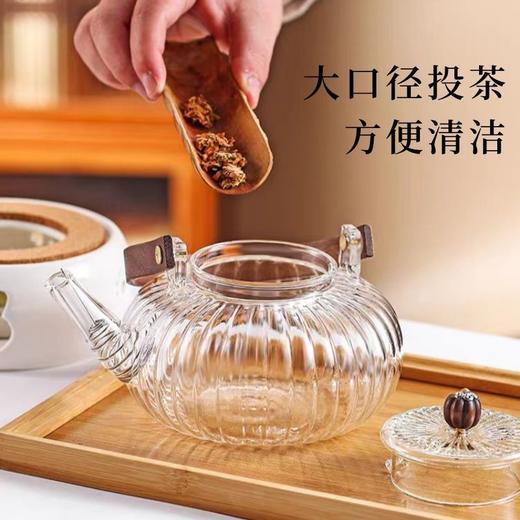 新款新品玻璃泡茶壶家用玻璃花茶壶新款新品条纹煮茶壶明火加热南瓜壶 商品图3