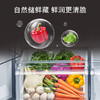 西门子（SIEMENS）大容量十字对开四门超薄可嵌入冰箱 铂金抗菌净味分区精储变温保鲜白色玻璃面板 以旧换新补贴 【新品无界零嵌558升】KC88BEA63C 商品缩略图2