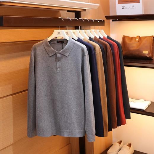【优雅绅士意奢老钱风】 男士480g羊毛混纺针织长袖POLO衫   商品图2