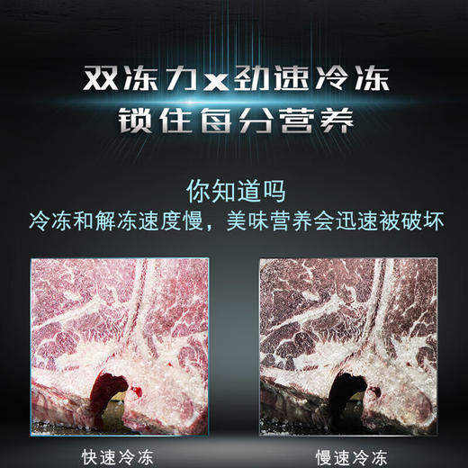 西门子（SIEMENS）【重磅新品】602L法式多门冰箱 零度生物保鲜抗菌净味 双变频双循环不串味 双制冷系统 KF97JPV50C 【曜钢黑 】KF97JPV50C 商品图2