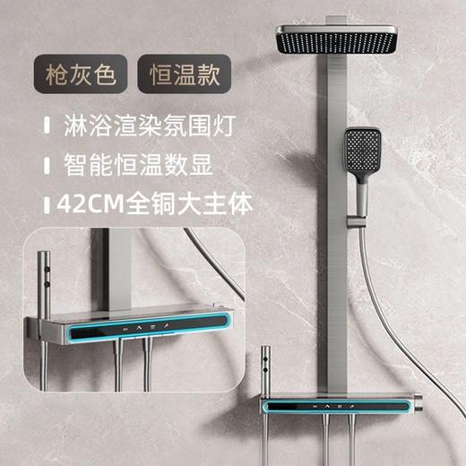 8241彼得堡五档腰洗花洒-枪灰/奶白 商品图1