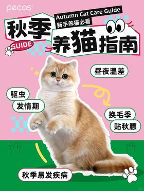 【秋季养猫🐱要注意🍂】这些一定要注意‼️