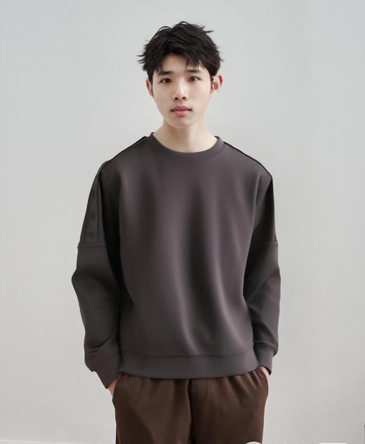佐丹奴男装25年商场同款【液氨】卫衣01025608 商品图0