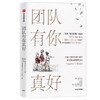 【独家旧书3折】团队有你真好  二手书籍（新疆 西藏 甘肃 青海 海南不包邮）bj 商品缩略图0