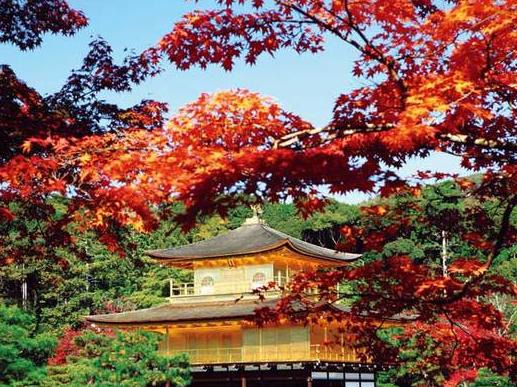 【特惠游】<日本6天双飞>金阁寺*奈良神鹿公园*富士山五合目*心斋桥道顿堀*浅草寺*银座*秋叶原 商品图0