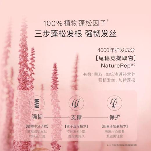 贝德美蓝甘菊洗发露（蓬松型） 商品图7