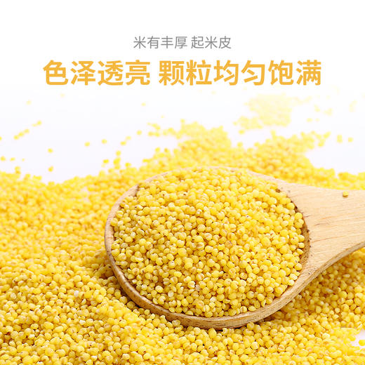 美村农场五谷杂粮1.6kg 商品图5