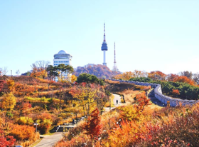 【秋季赏枫】<韩国首尔休闲5日游-深圳直飞往返>特别安排首尔1天自由活动