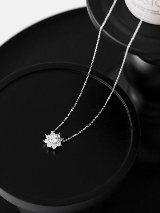 海瑞温斯顿 雪花六芒星造型璀璨繁花梦幻浪漫闪耀精致甜美雪绒花（XK） 商品图1