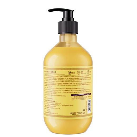 致朵生姜柔润平衡洗发露 补水保湿顺滑发膜柔顺厂家直销批发 商品图3