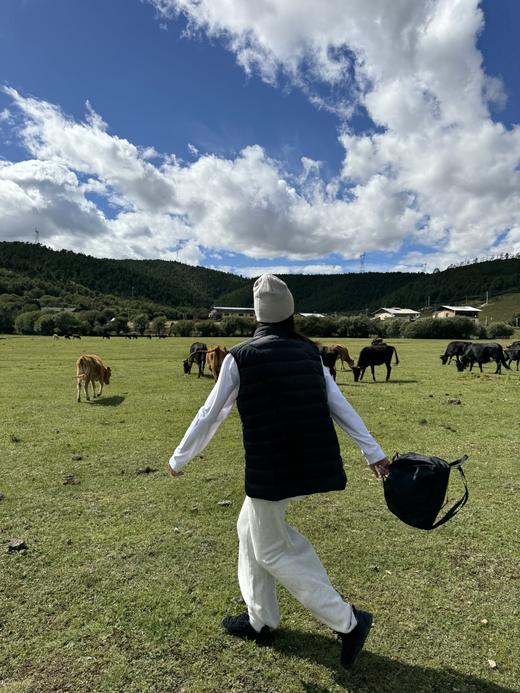 始祖鸟 排骨系列 休闲拉链立领鹅绒马甲（MG） 商品图4