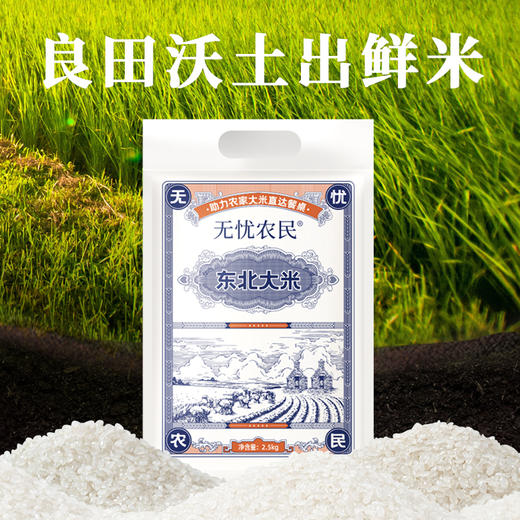 美村农场无忧农民 东北大米2.5kg 商品图2
