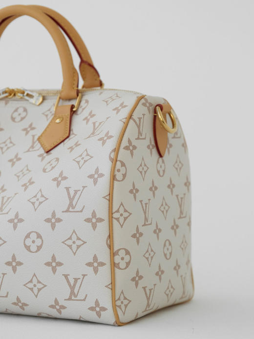 驴家七夕限定Speedy Soft 30 Lucky手袋（DG*MM） 商品图6