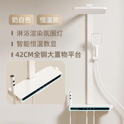 8241彼得堡五档腰洗花洒-枪灰/奶白 商品图2