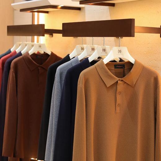 【优雅绅士意奢老钱风】 男士480g羊毛混纺针织长袖POLO衫   商品图1