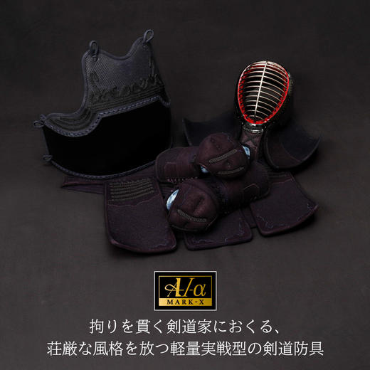 【A-1α Mark-X】3mm机刺 剑道护具 整套 商品图1