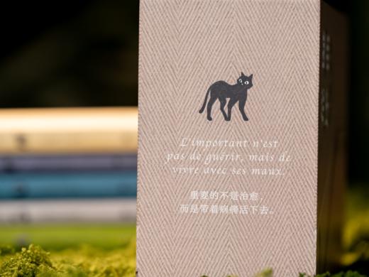 《荒诞序曲:加缪文集》全5册诺奖典藏装|陪你对抗人生的荒谬和虚无，版本权威、翻译丝滑，一生典藏 商品图1