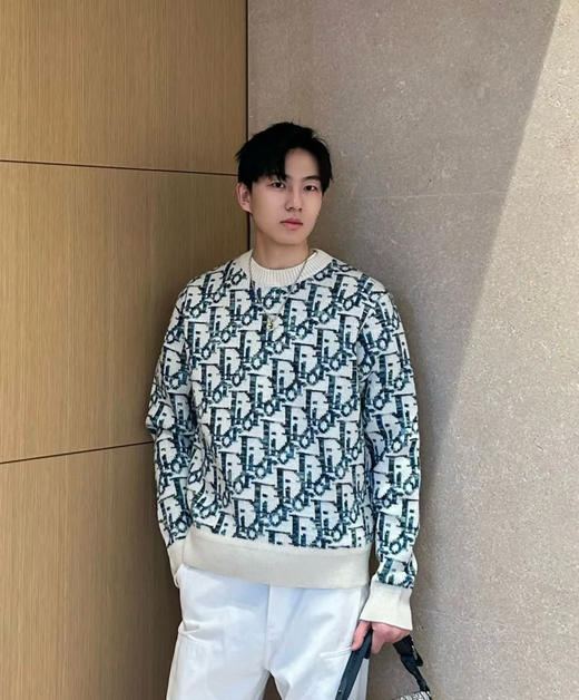 迪奥2025FW满印提花圆领毛衣（DY） 商品图0