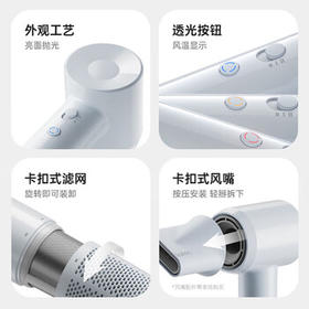 徕芬（LAIFEN）高速吹风机 智能温控 六重降噪 多档位家用大风力速干低噪音便携风筒 SE Lite 简白 /家用电器 /个护健康 /电吹风