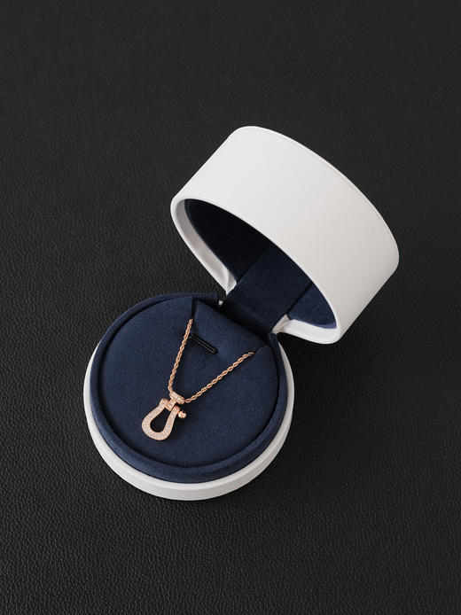 斐登 马蹄扣潮时尚百搭高级感轻奢 项链 （XK） 商品图1