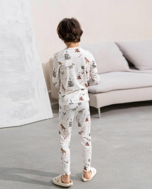 【春上新】8楼爱慕儿童Aimer Kids男孩2件装-奶皮恐龙部落保暖套装AK274G101，吊牌价660元 商品图2