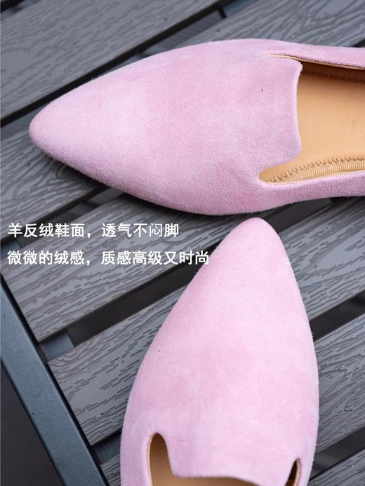 Sacha 尖头平底鞋 XC2001 商品图8