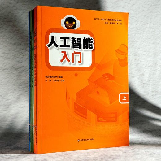 人工智能 入门（中） 商品图1