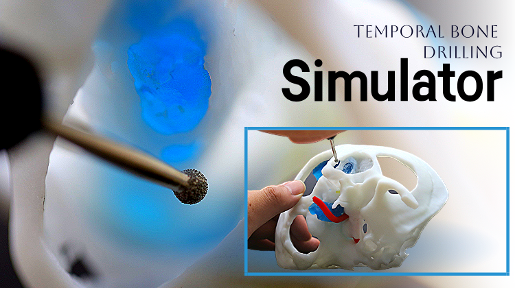 听神经瘤三大经典入路模型示范